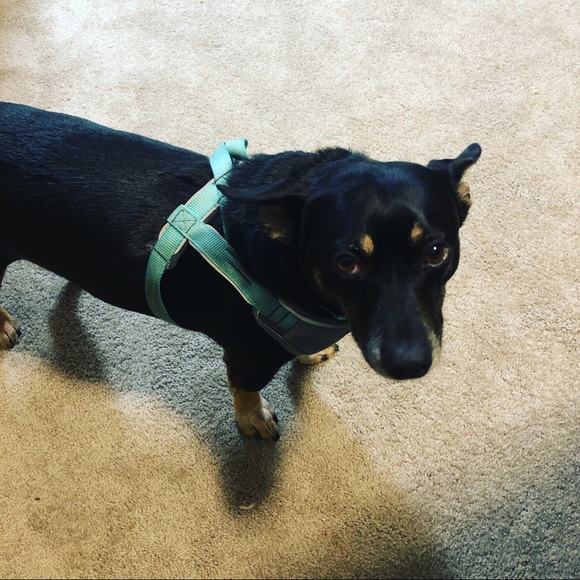 Meet your Posher, Jessica - Picture 5 of 6